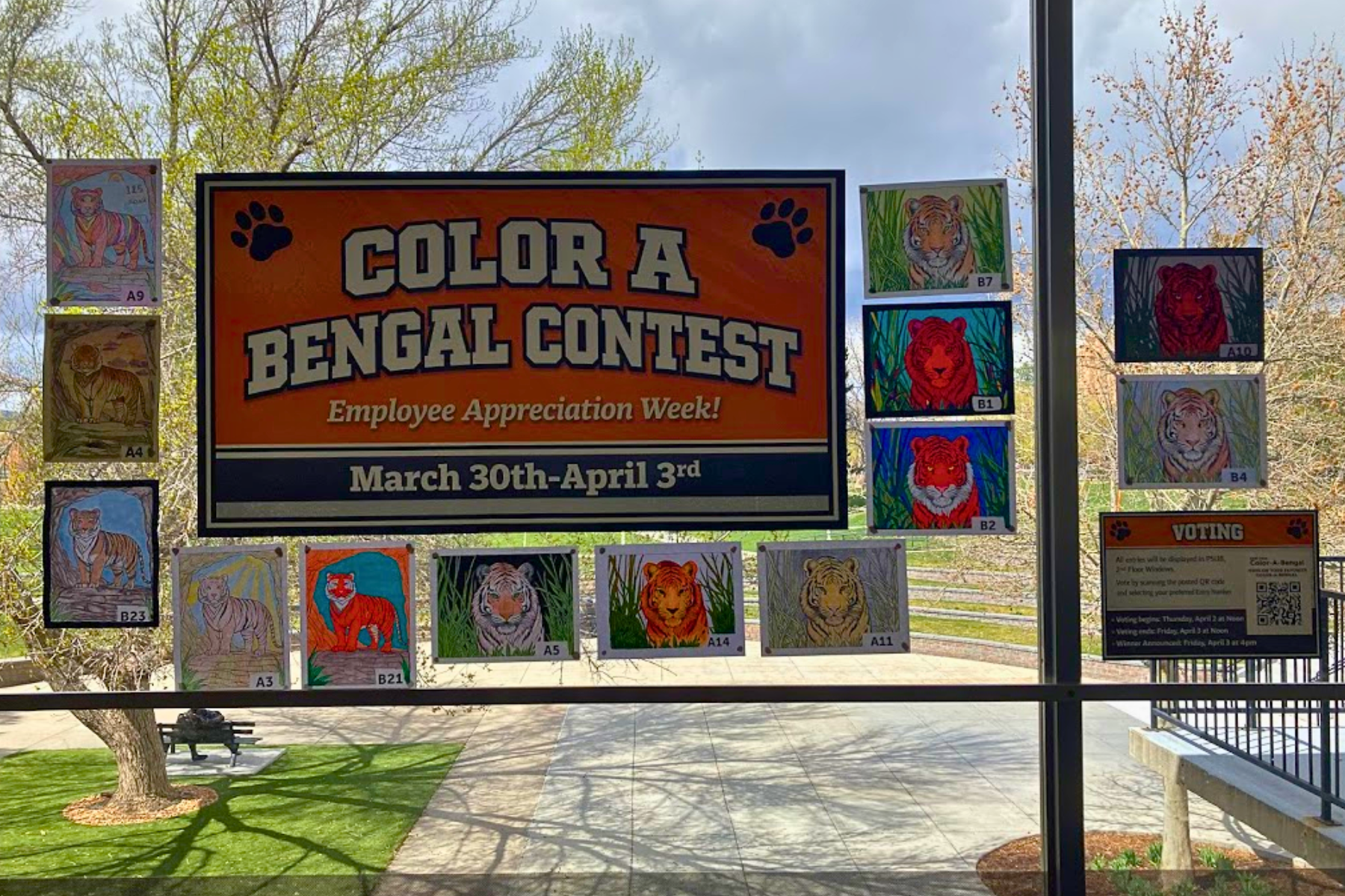 Color A Bengal Submissions