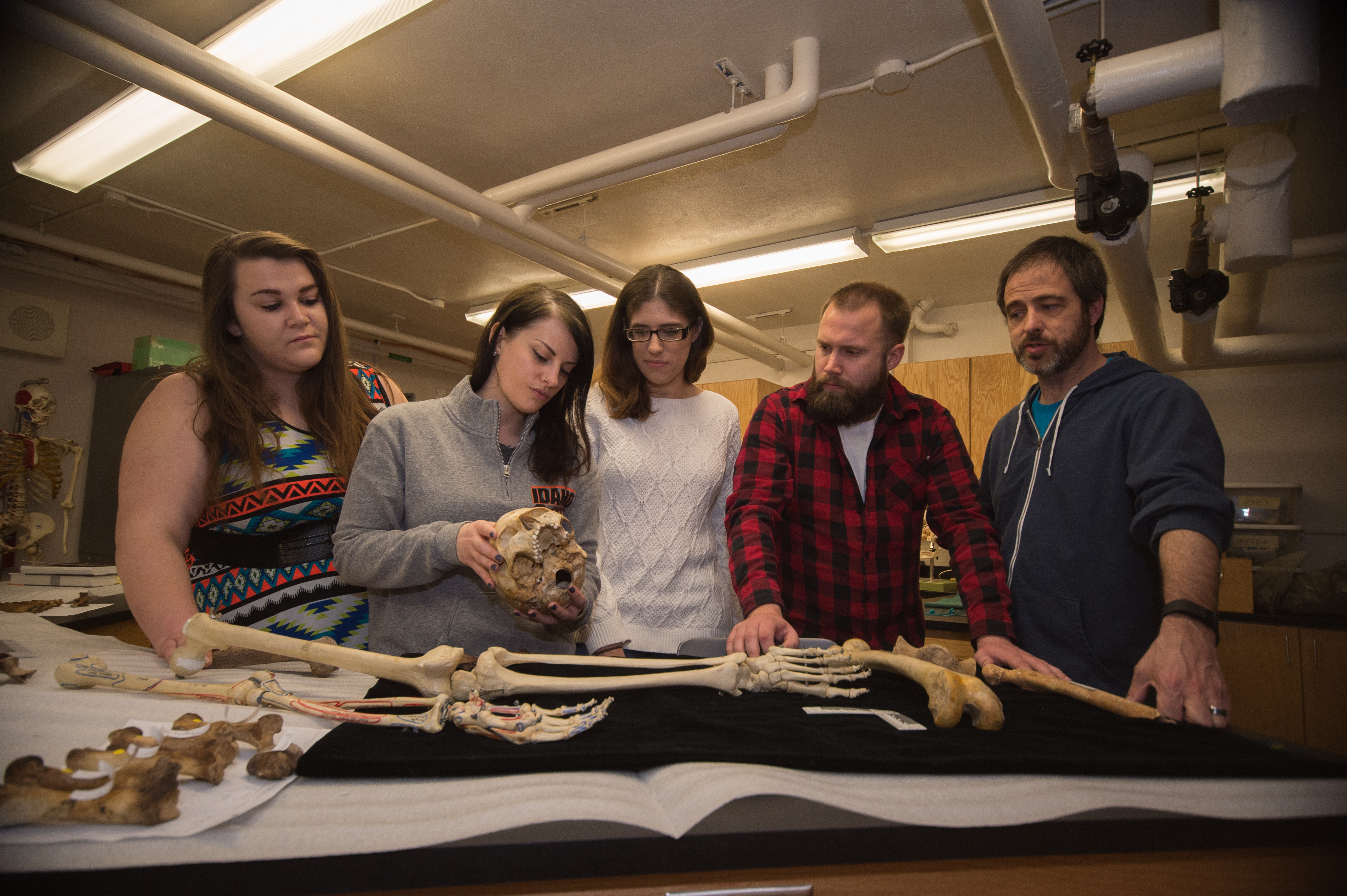 Anthropology learning