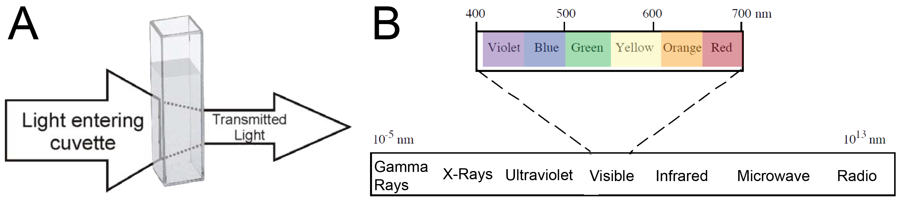Spectrophotometers