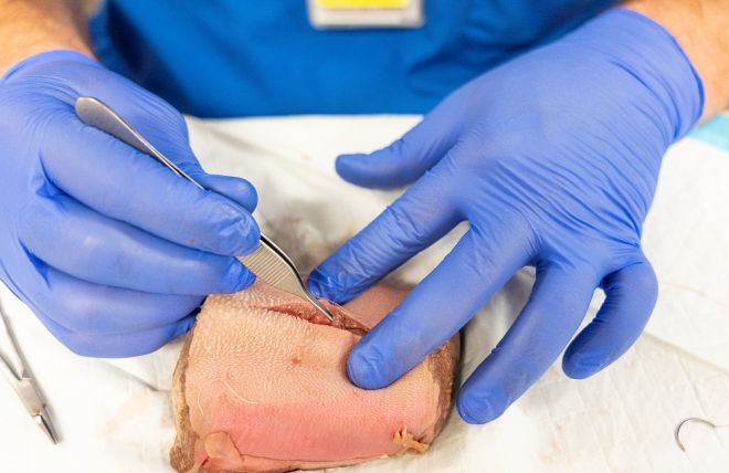 Suture practice