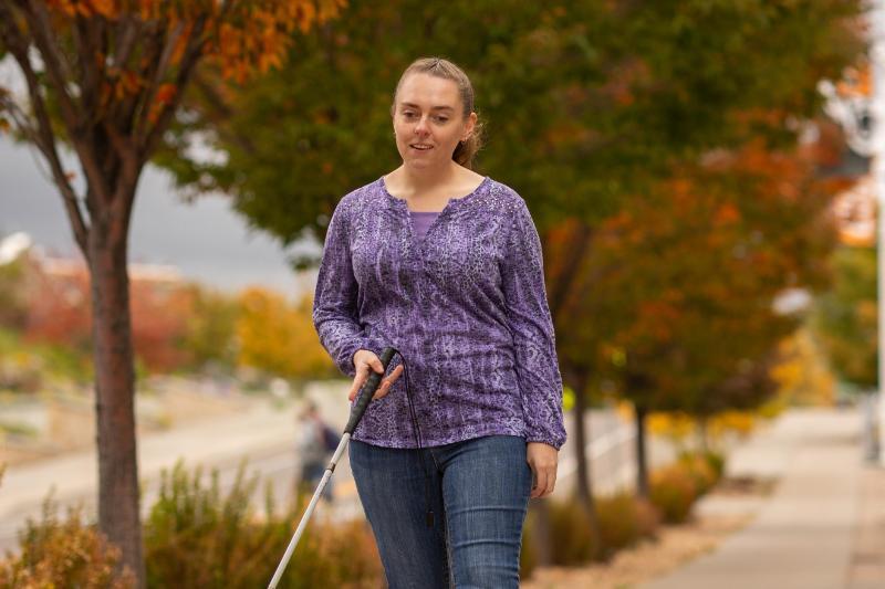 An image used for a picture link
