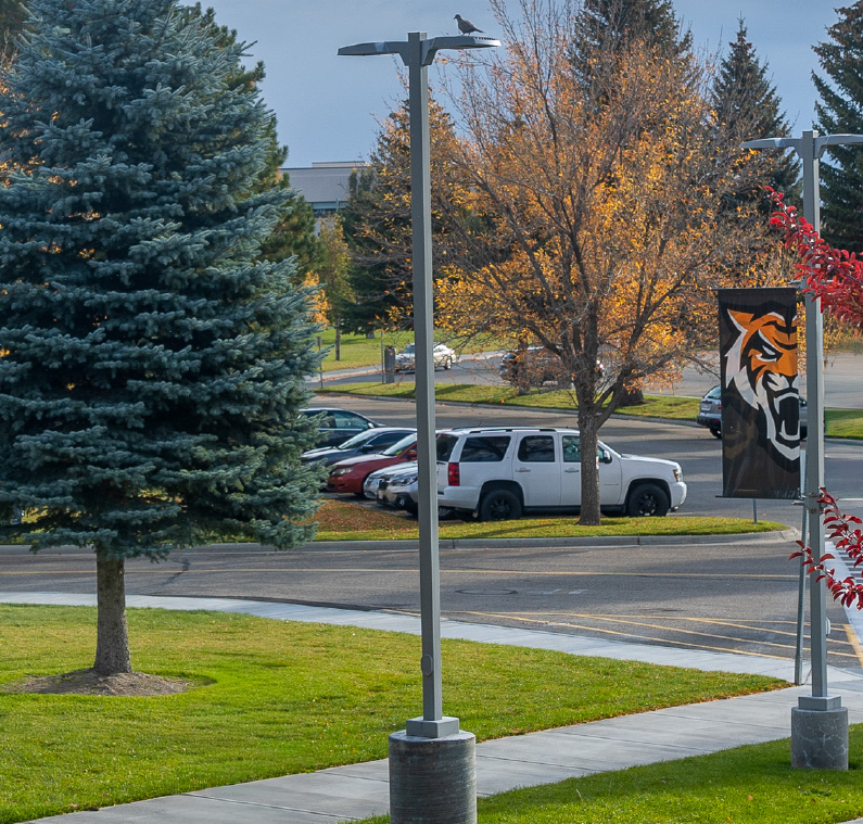 Campus walkway and parking area lined with trees in fall colors, featuring a lamppost banner with the Idaho State Bengals logo and cars parked nearby.