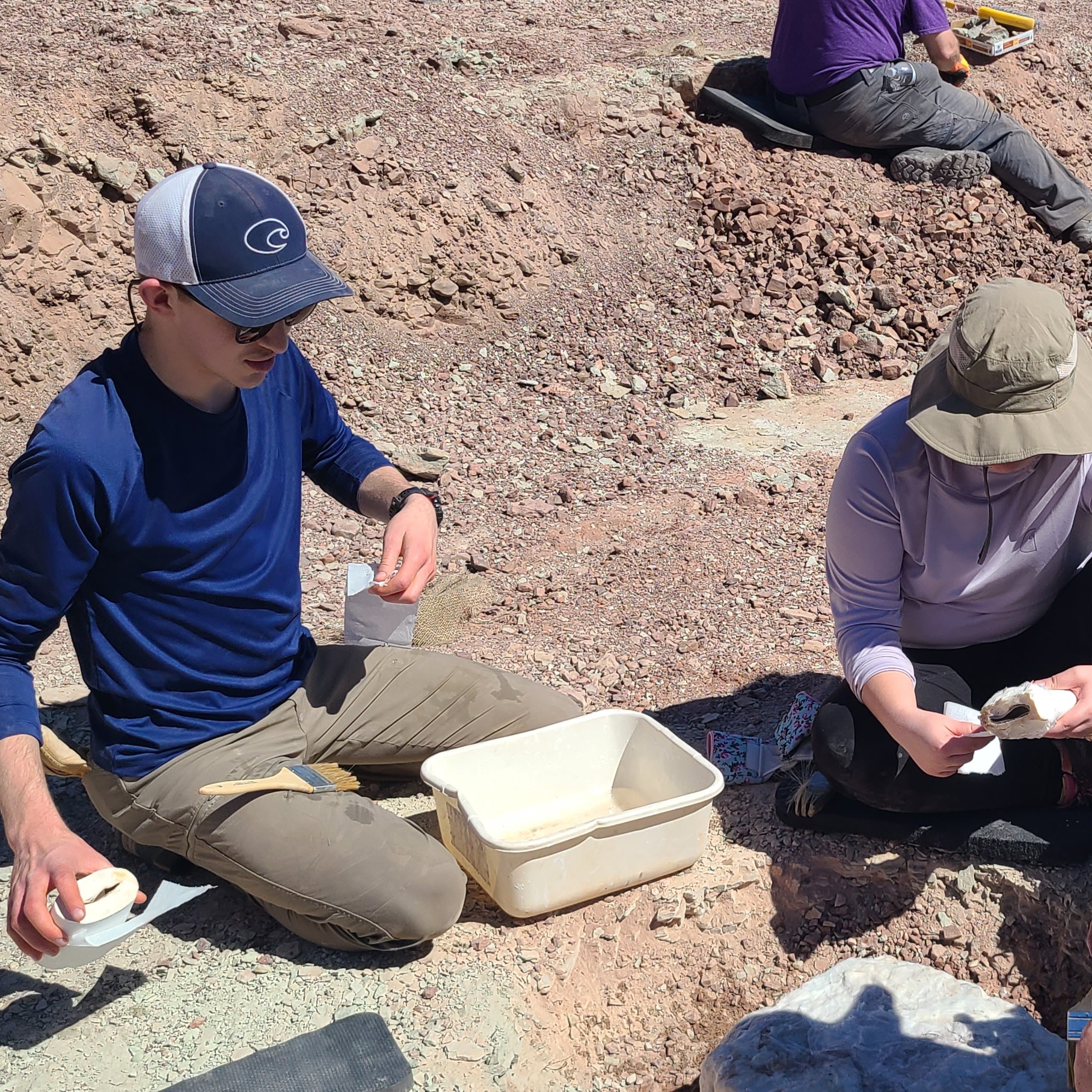 two college students preparing paster to paster jacket a dinosaur fossil in St. George, Utah