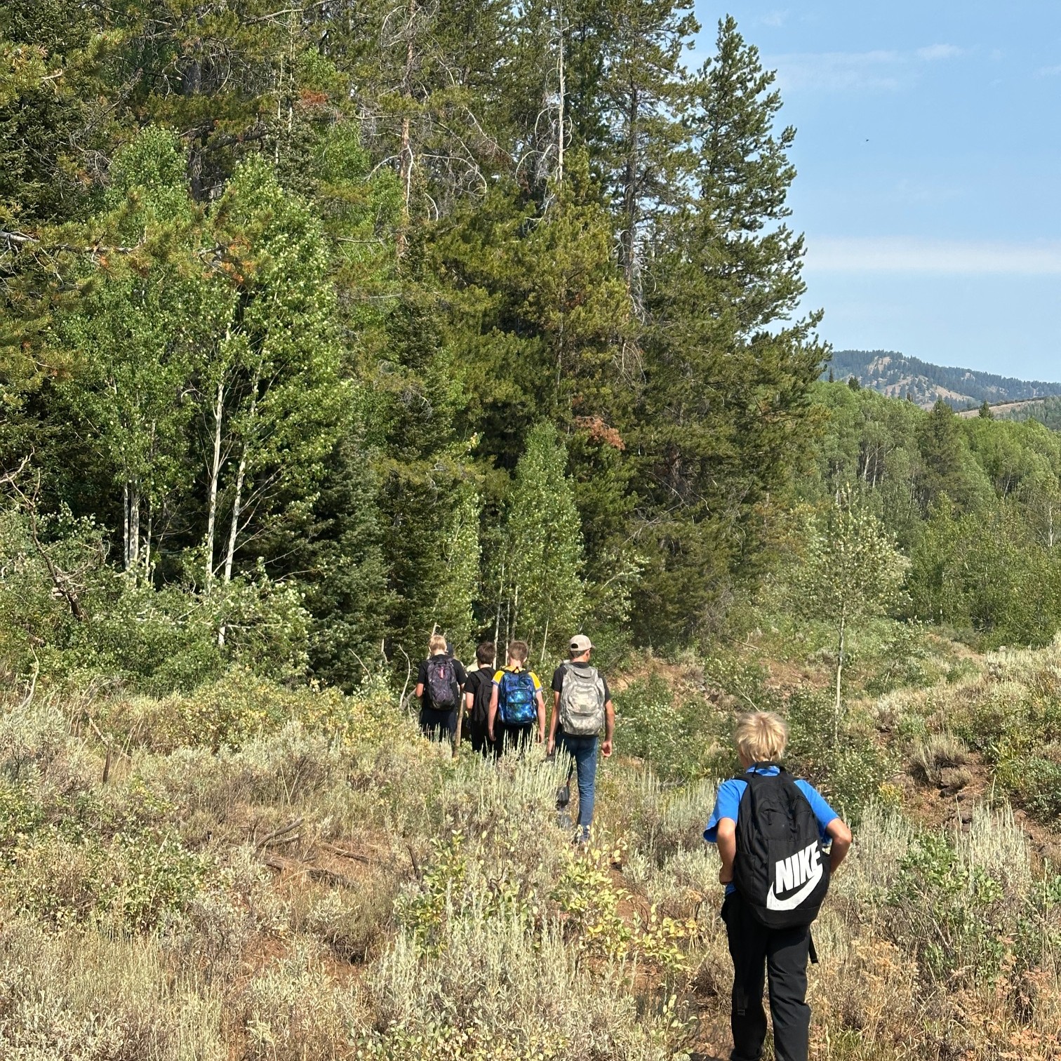 Middle school aged walking through a meadow towards evergreen trees