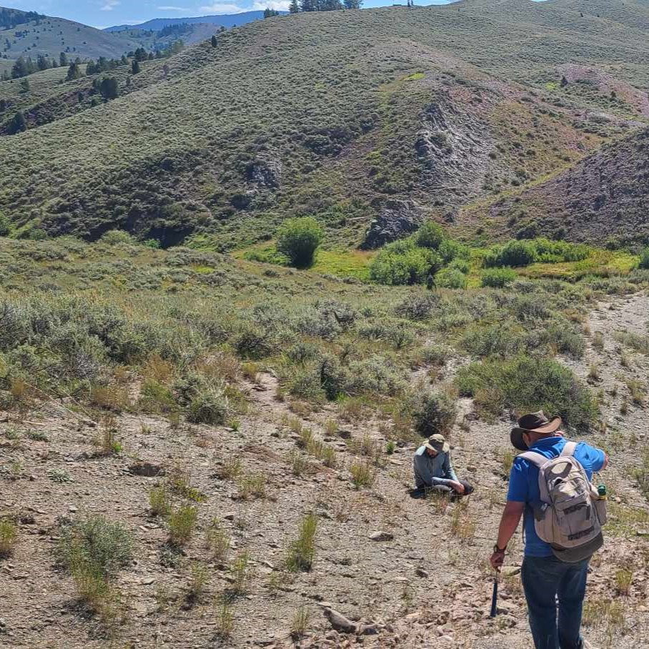 Two men looking for fossils in a wilderness area with short shrubs and rocks