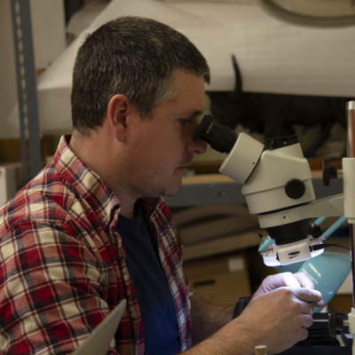 Dr. Josh Lively examining fossils in a microscope