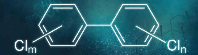 A depiction of the PCB chemical structure 