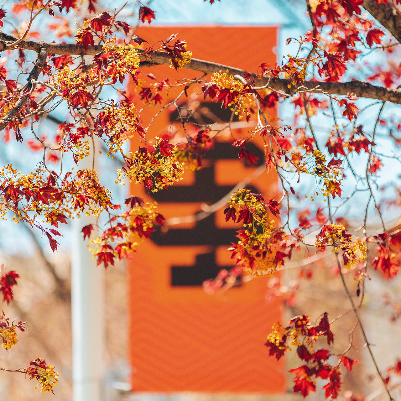 ISU Banner