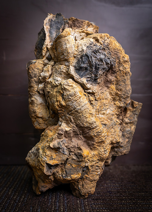 A photo of a specimen of chert containing spicules.