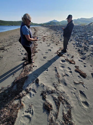 Two people on a beach