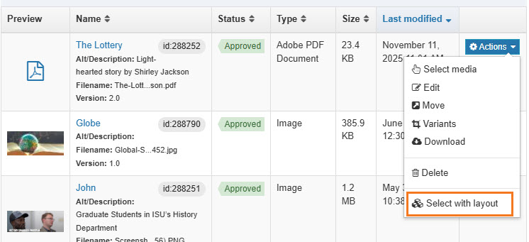 Screenshot of media library with layout option highlighted